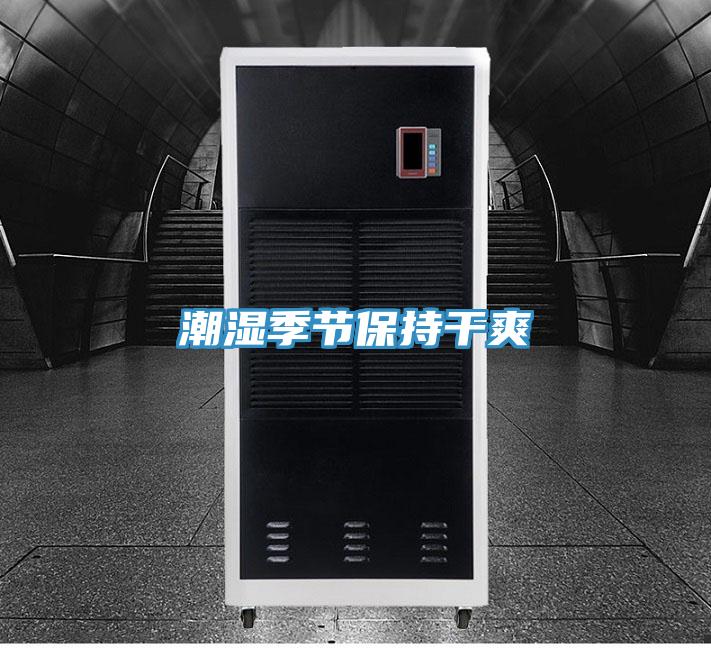 潮濕季節保持干爽