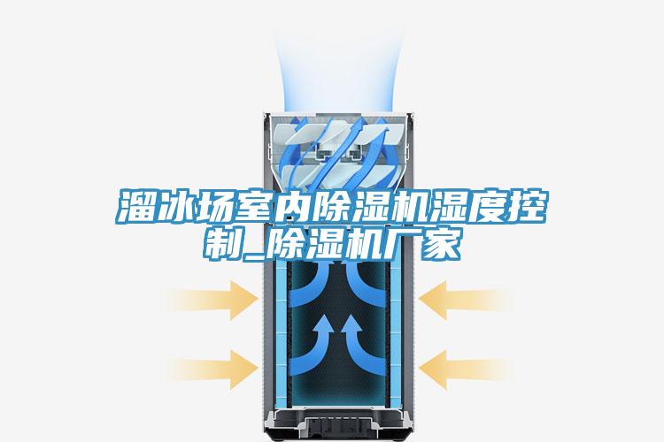 溜冰場室內除濕機濕度控制_除濕機廠家