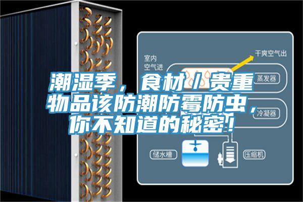 潮濕季，食材／貴重物品該防潮防霉防蟲，你不知道的秘密！