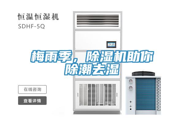 梅雨季，除濕機助你除潮去濕
