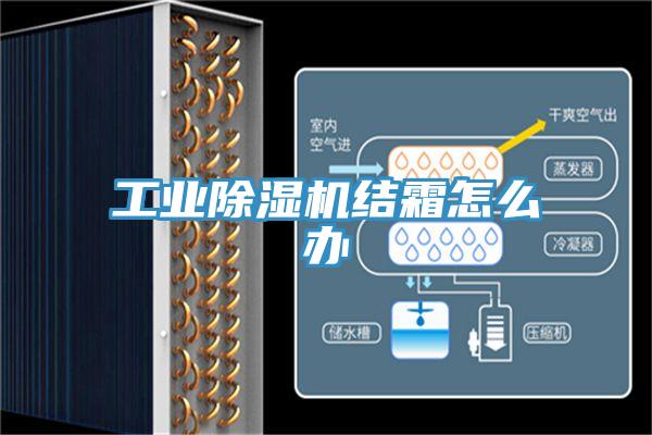 工業除濕機結霜怎么辦