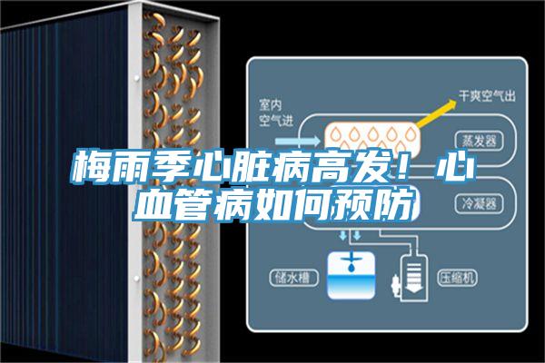 梅雨季心臟病高發！心血管病如何預防