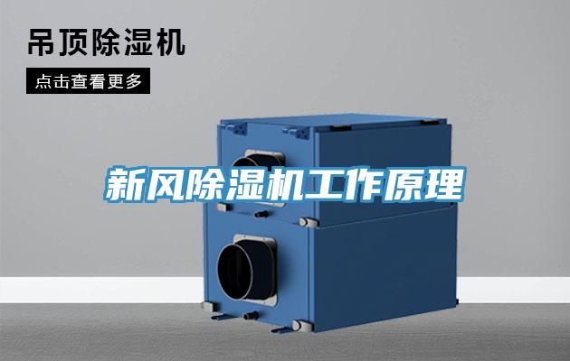 新風(fēng)除濕機(jī)工作原理