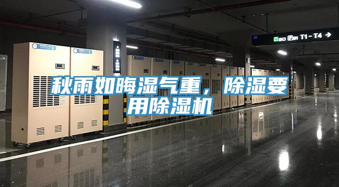 秋雨如晦濕氣重，除濕要用除濕機