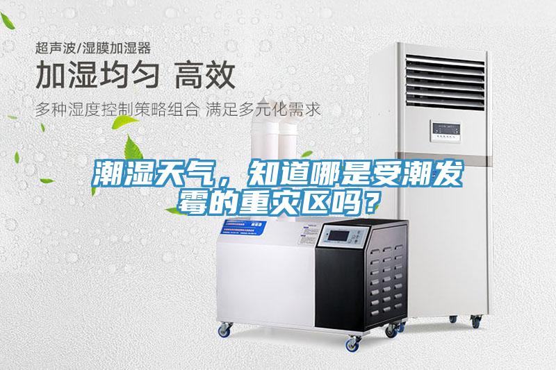 潮濕天氣，知道哪是受潮發(fā)霉的重災(zāi)區(qū)嗎？