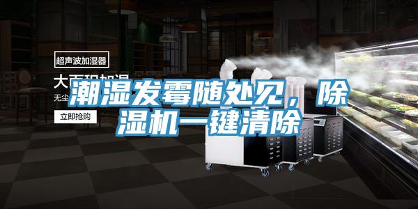 潮濕發霉隨處見，除濕機一鍵清除