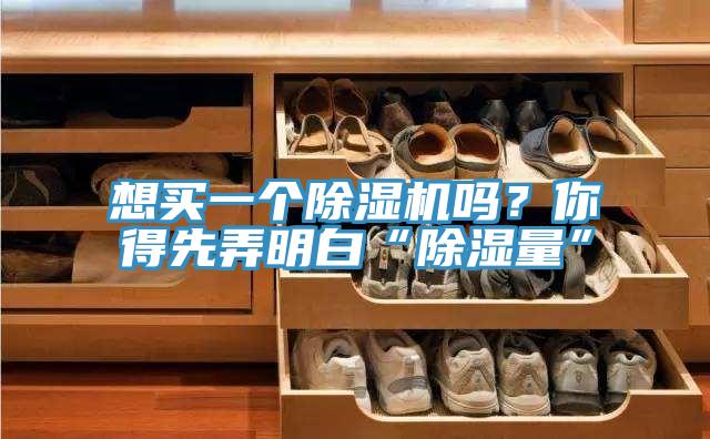 想買一個(gè)除濕機(jī)嗎?你得先弄明白“除濕量”
