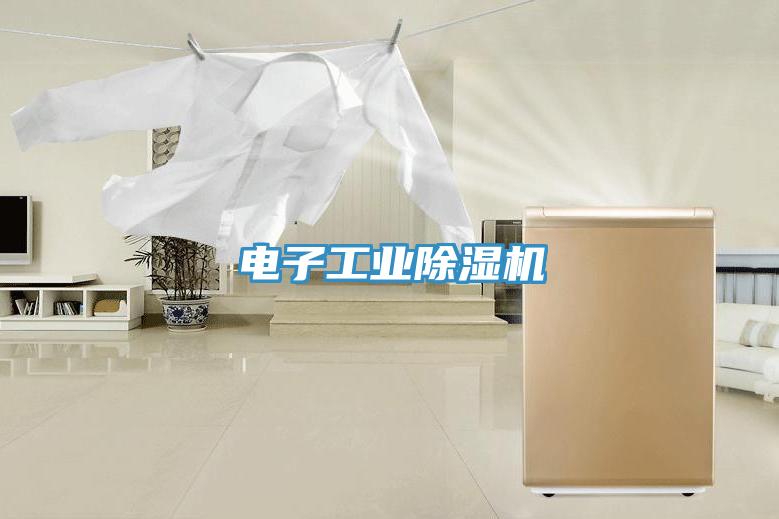 電子工業除濕機