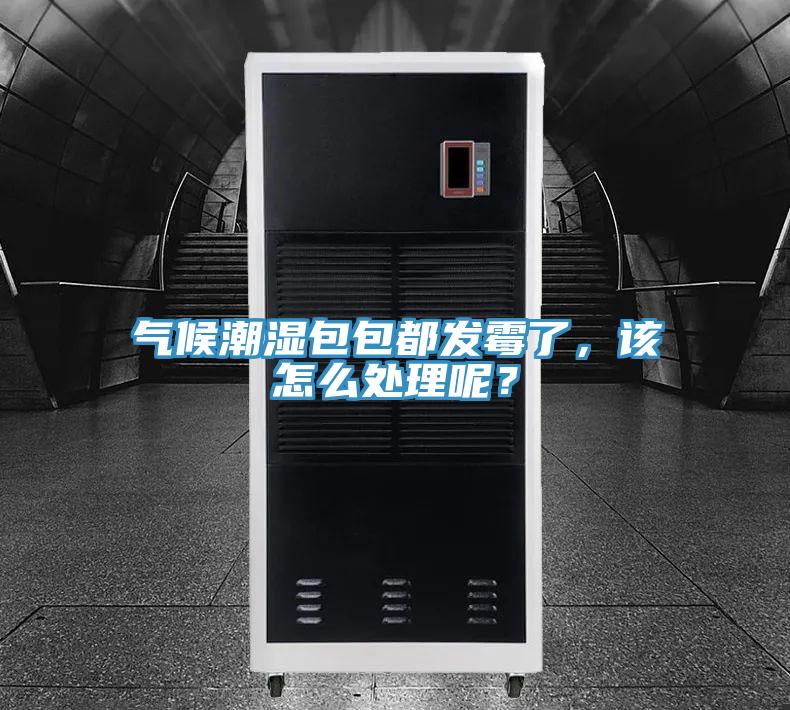 氣候潮濕包包都發(fā)霉了，該怎么處理呢？