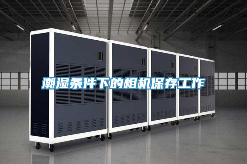 潮濕條件下的相機保存工作