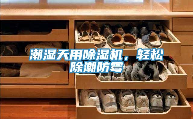 潮濕天用除濕機，輕松除潮防霉