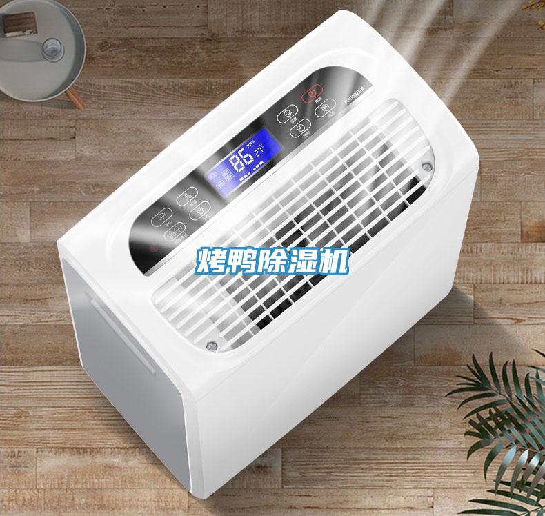 烤鴨除濕機(jī)