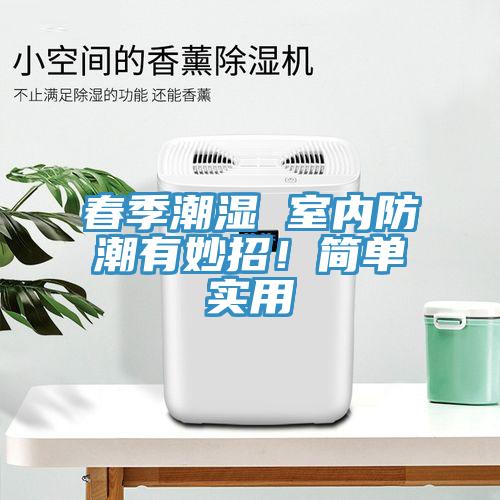 春季潮濕 室內防潮有妙招!簡單實用