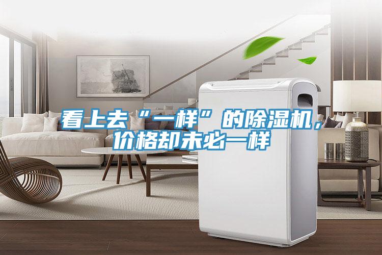 看上去“一樣”的除濕機(jī)，價(jià)格卻未必一樣