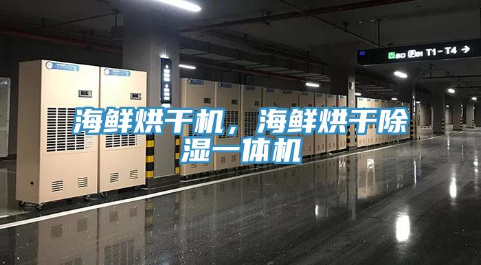 海鮮烘干機，海鮮烘干除濕一體機