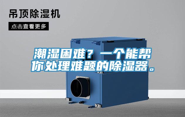 潮濕困難？一個能幫你處理難題的除濕器。
