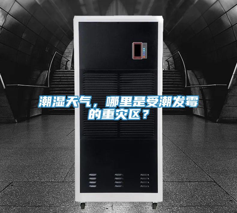 潮濕天氣，哪里是受潮發霉的重災區？