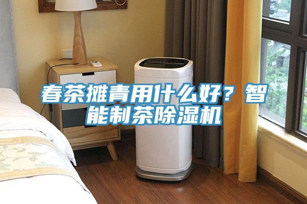 春茶攤青用什么好？智能制茶除濕機