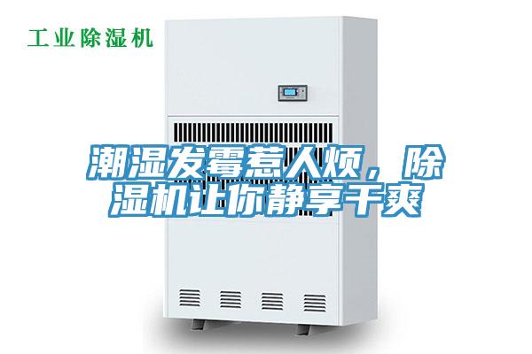 潮濕發霉惹人煩，除濕機讓你靜享干爽