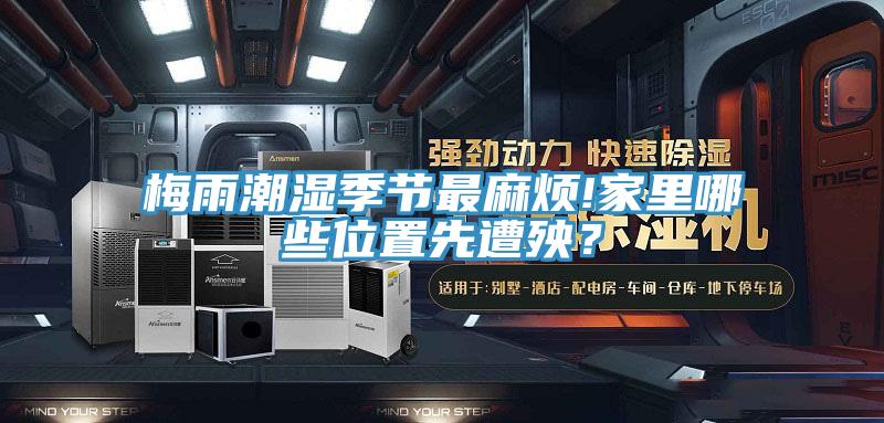 梅雨潮濕季節(jié)最麻煩!家里哪些位置先遭殃?