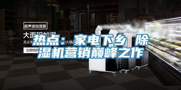 熱點：家電下鄉 除濕機營銷巔峰之作