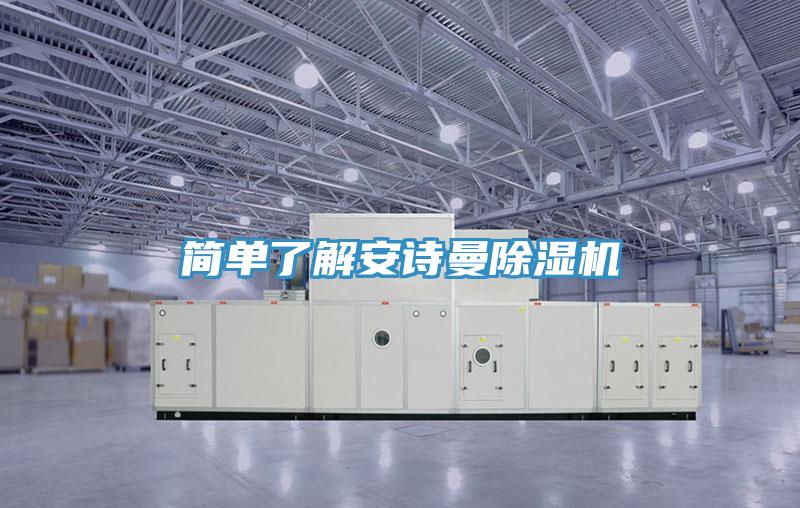 簡單了解安詩曼除濕機