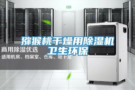 獼猴桃干燥用除濕機衛(wèi)生環(huán)保