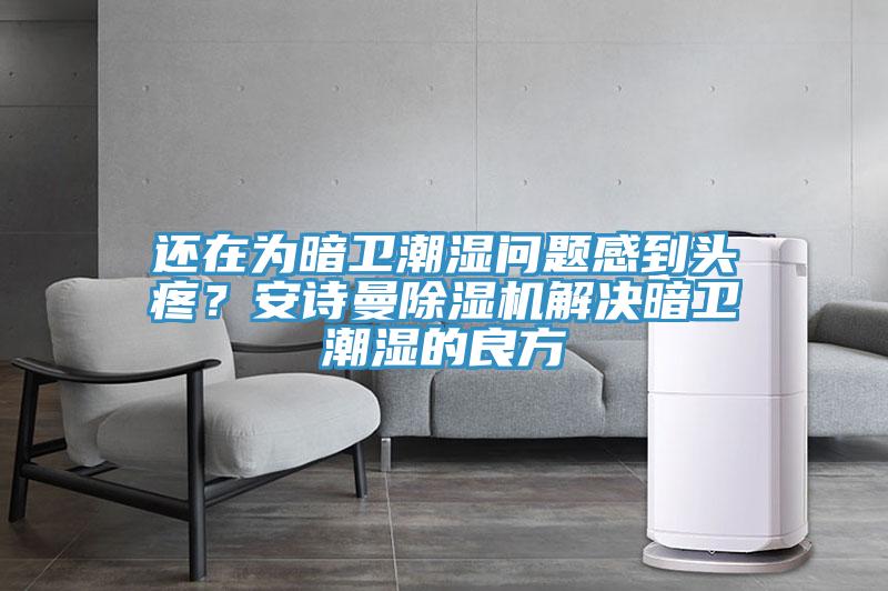 還在為暗衛潮濕問題感到頭疼？安詩曼除濕機解決暗衛潮濕的良方