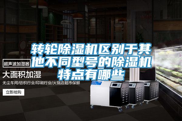 轉輪除濕機區別于其他不同型號的除濕機特點有哪些