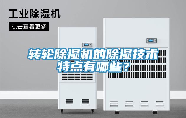 轉輪除濕機的除濕技術特點有哪些?