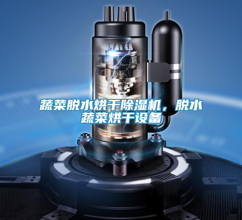 蔬菜脫水烘干除濕機(jī)，脫水蔬菜烘干設(shè)備