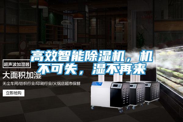 高效智能除濕機(jī)，機(jī)不可失，濕不再來