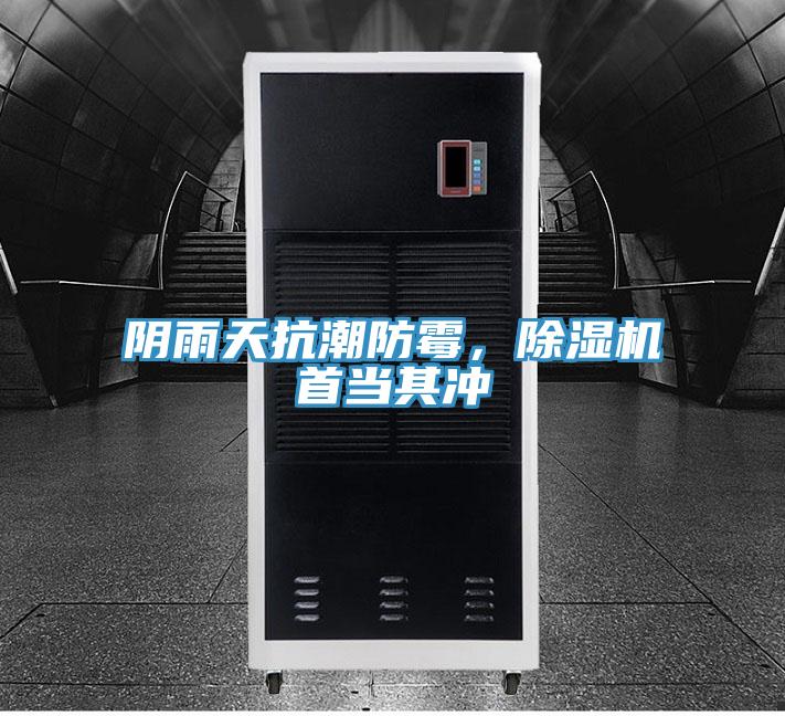 陰雨天抗潮防霉,除濕機首當其沖