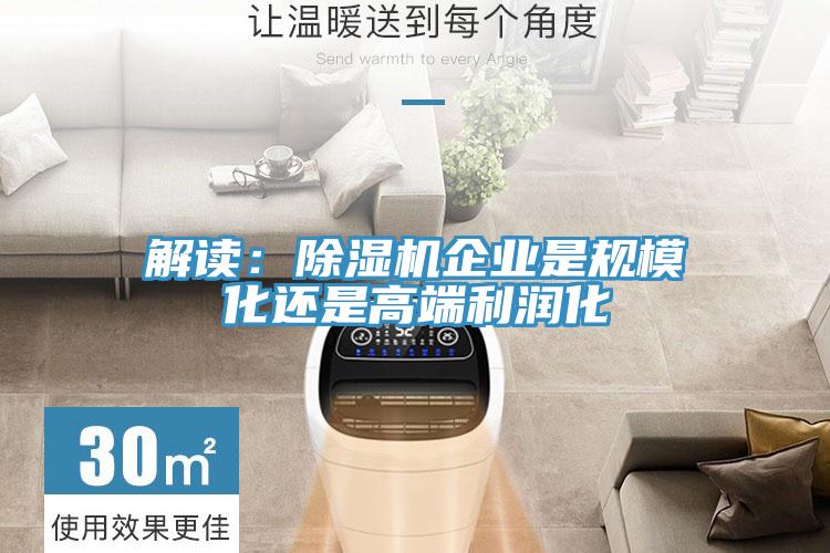 解讀：除濕機企業(yè)是規(guī)模化還是高端利潤化