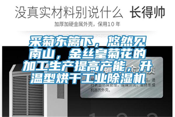 采菊東籬下，悠然見(jiàn)南山，金絲皇菊花的加工生產(chǎn)提高產(chǎn)能，升溫型烘干工業(yè)除濕機(jī)