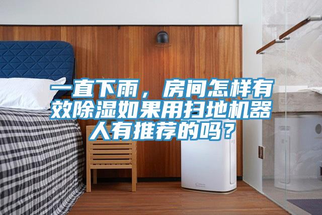 一直下雨，房間怎樣有效除濕如果用掃地機器人有推薦的嗎？