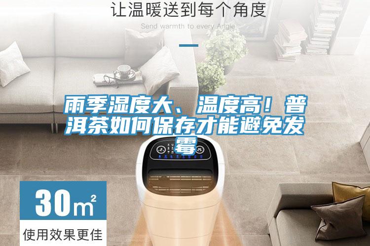 雨季濕度大、溫度高！普洱茶如何保存才能避免發(fā)霉