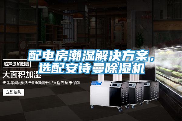 配電房潮濕解決方案，選配安詩曼除濕機