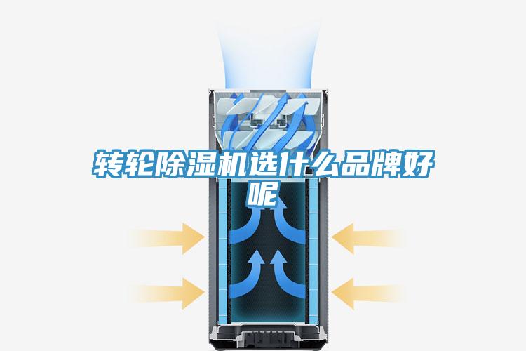 轉輪除濕機選什么品牌好呢