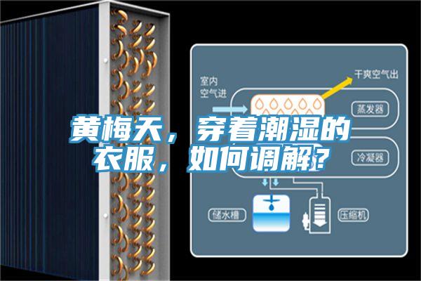 黃梅天，穿著潮濕的衣服，如何調解？