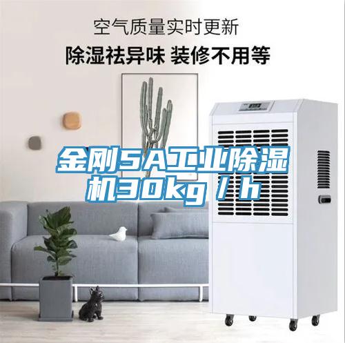 金剛5A工業除濕機30kg／h