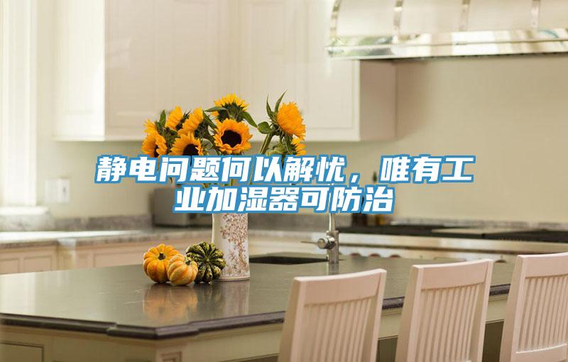靜電問題何以解憂，唯有工業(yè)加濕器可防治