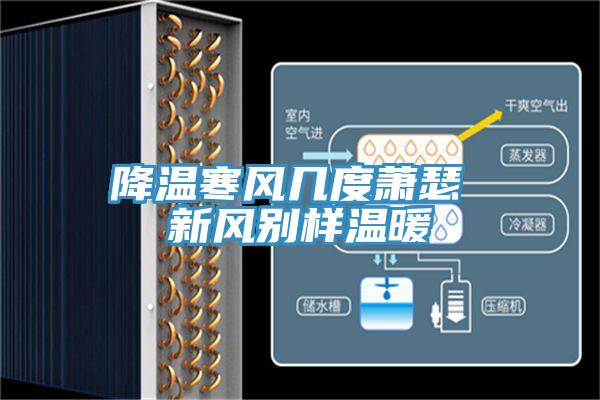 降溫寒風幾度蕭瑟 新風別樣溫暖