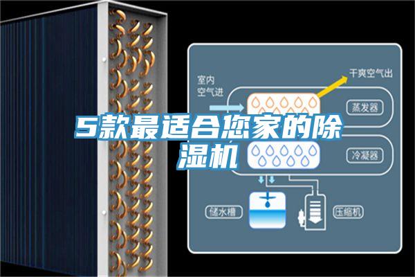 5款最適合您家的除濕機(jī)