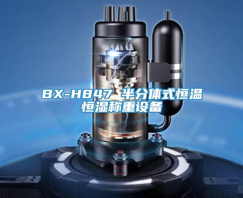 BX-H847 半分體式恒溫恒濕稱(chēng)重設(shè)備