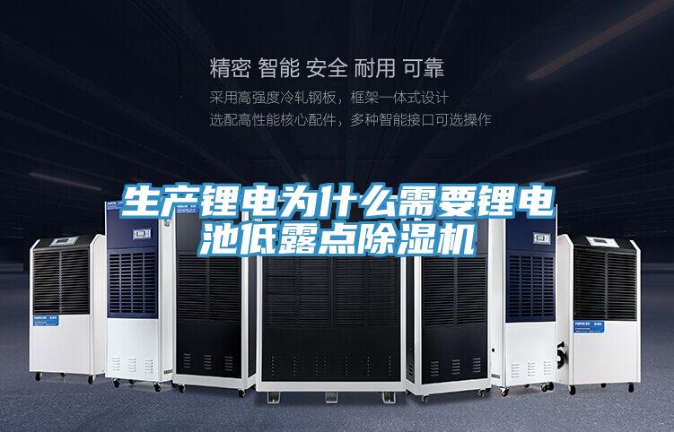 生產鋰電為什么需要鋰電池低露點除濕機