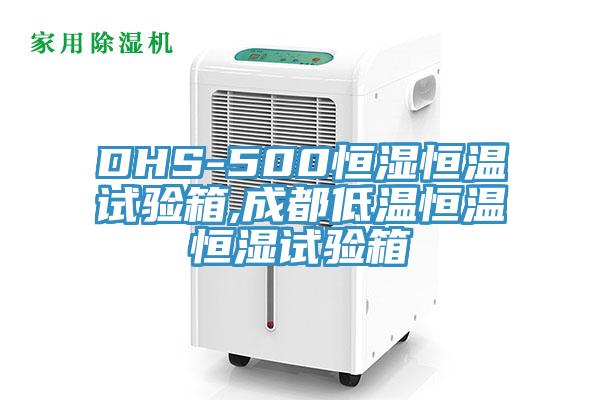 DHS-500恒濕恒溫試驗箱,成都低溫恒溫恒濕試驗箱
