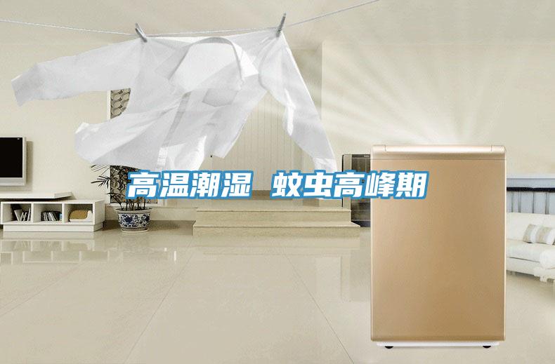 高溫潮濕 蚊蟲高峰期
