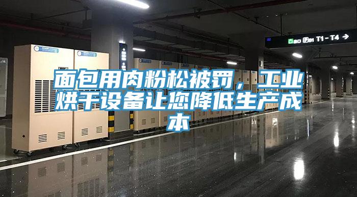 面包用肉粉松被罰，工業(yè)烘干設(shè)備讓您降低生產(chǎn)成本