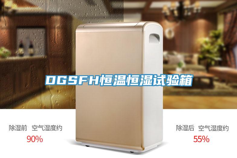 DGSFH恒溫恒濕試驗箱